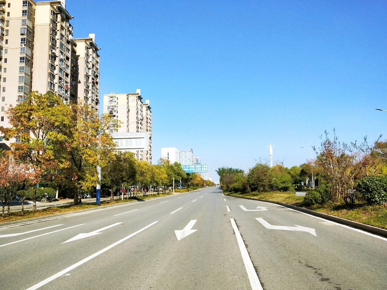 池城最浪漫最唯美的"黄金大道"上线,原来在这里!