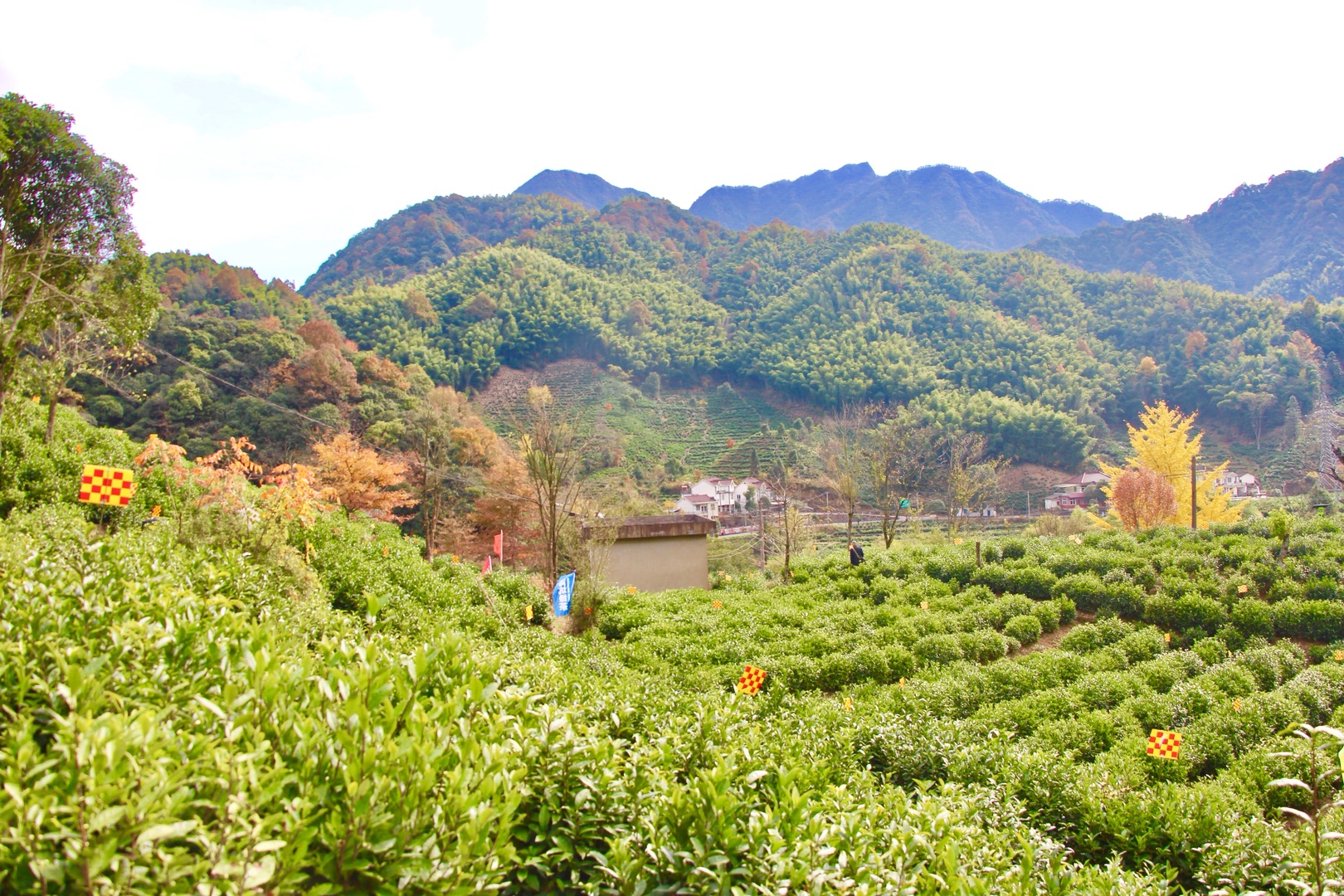 霄坑村的初冬