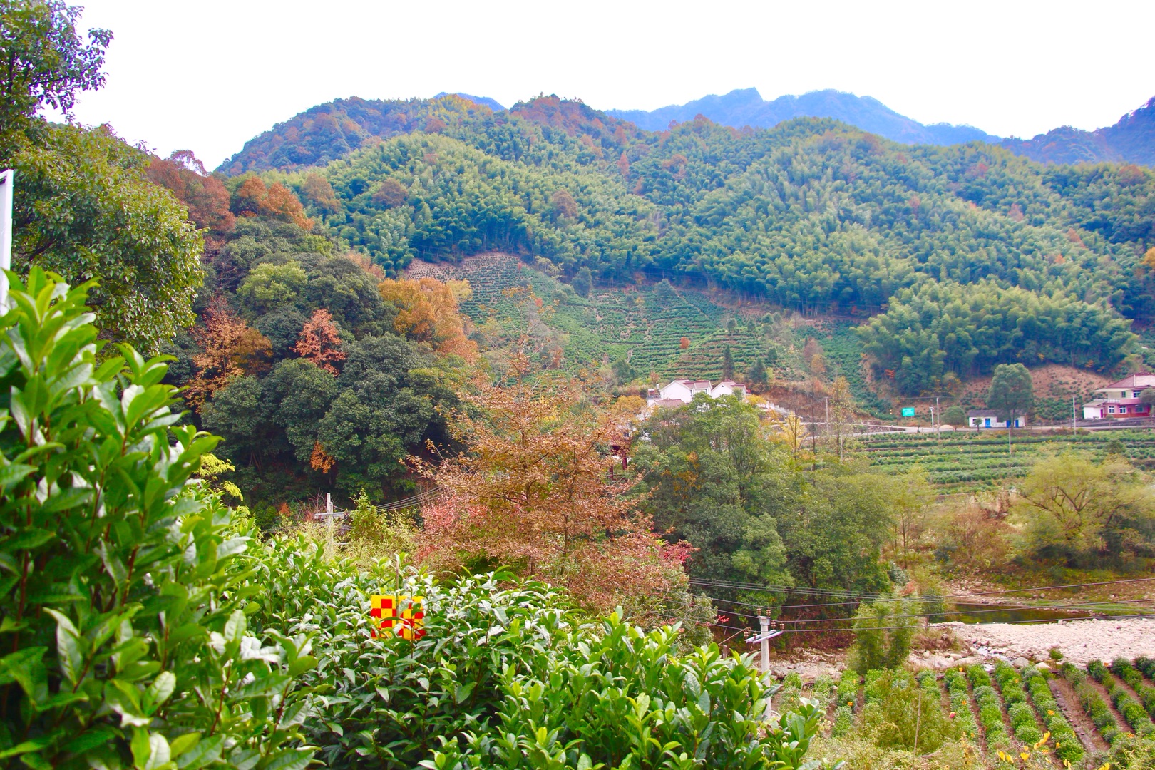 霄坑村的初冬