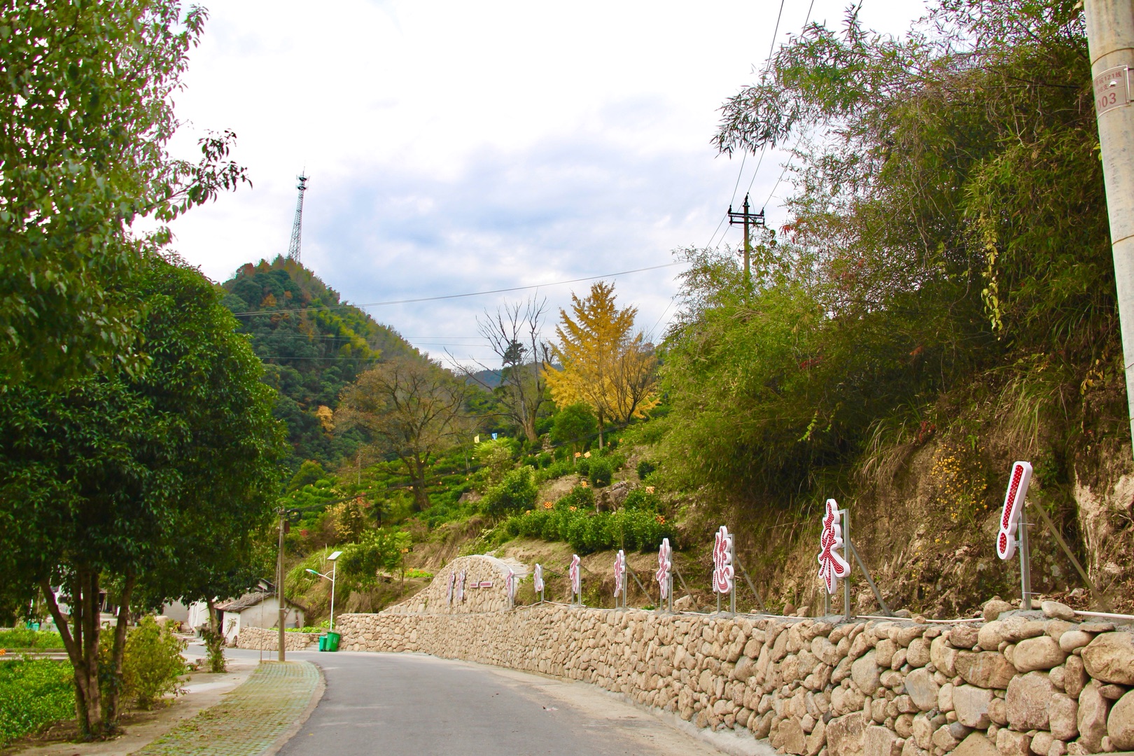 霄坑村的初冬