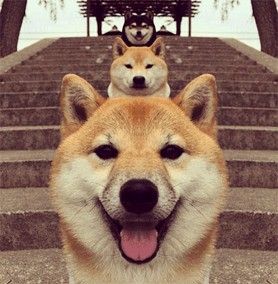 400_409gif 动态图 动图